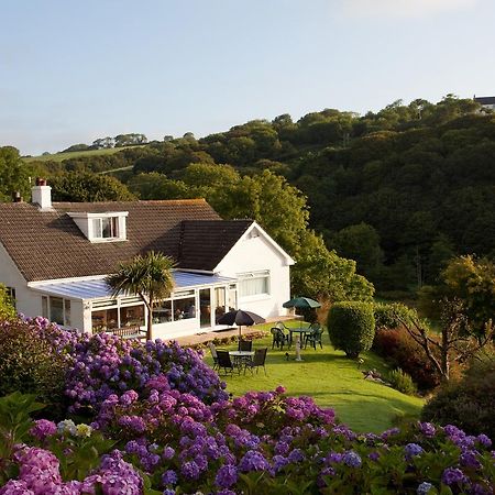 Mellieha Guest House Narberth Exterior photo
