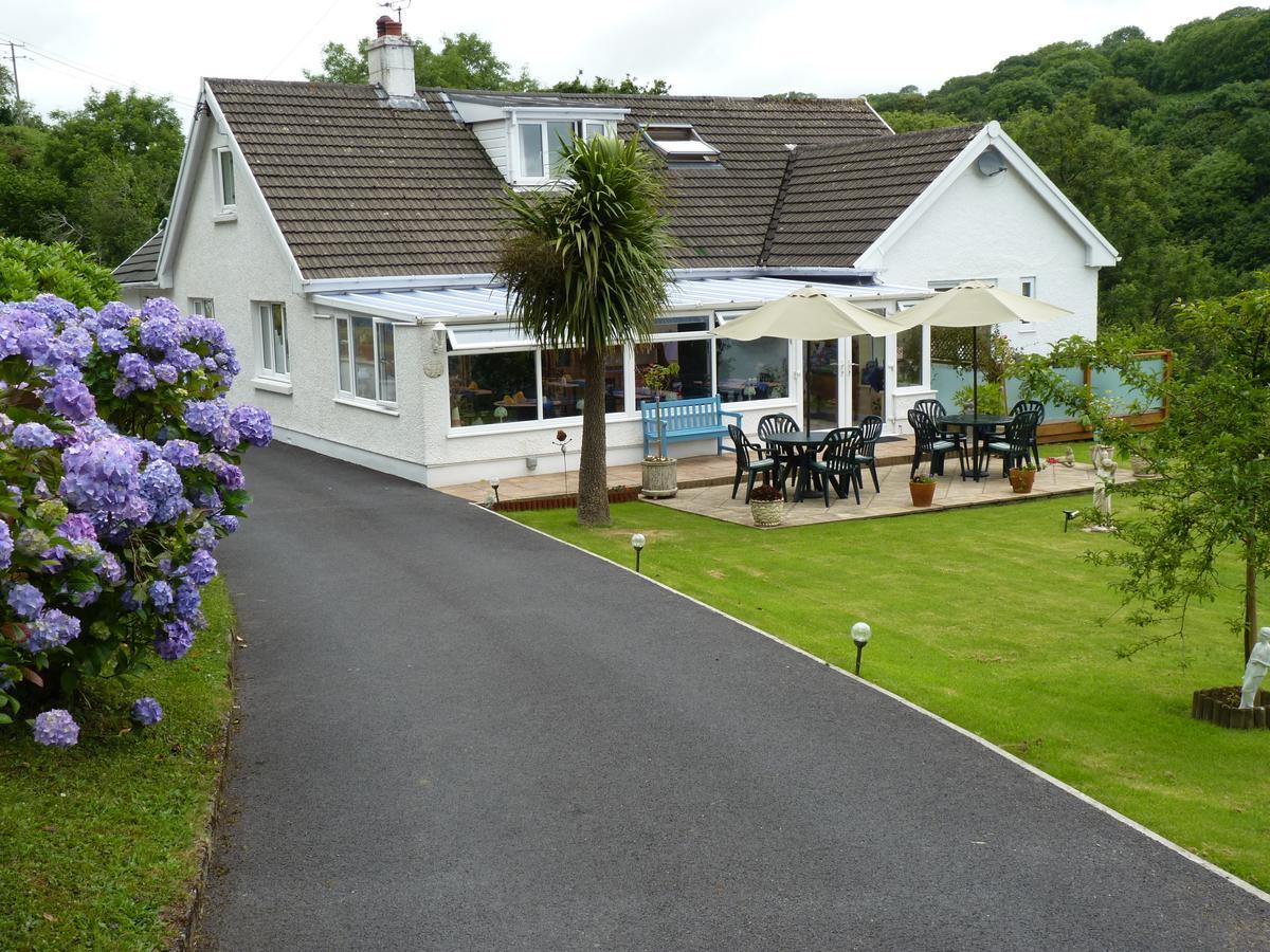 Mellieha Guest House Narberth Exterior photo
